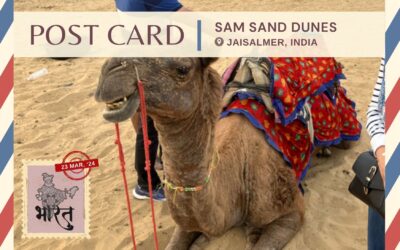 Dancing with Dunes: My Magical Sam Sand Adventure!